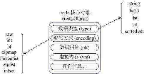 redis和memcached的区别【转载】
