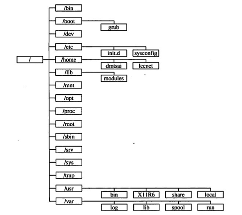 linux目录化结构