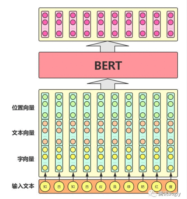 图解BERT模型：从零开始构建BERT