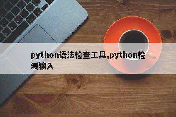 python语法检查工具,python检测输入