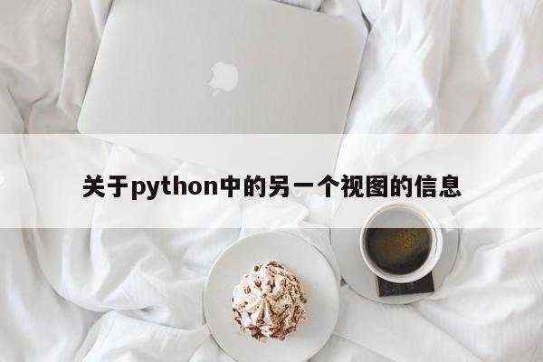 关于python中的另一个视图的信息