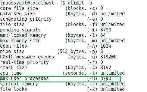 Linux①——进程概念 - 文章图片