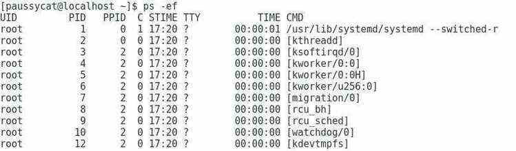 Linux①——进程概念 - 文章图片