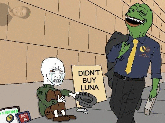 关于 Luna 的 meme