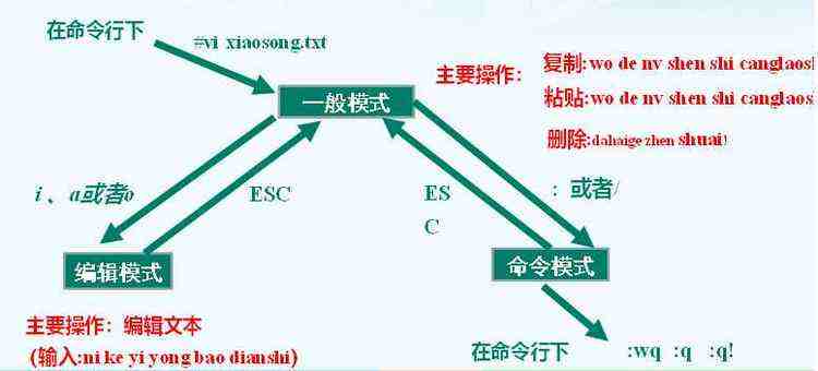 技术图片