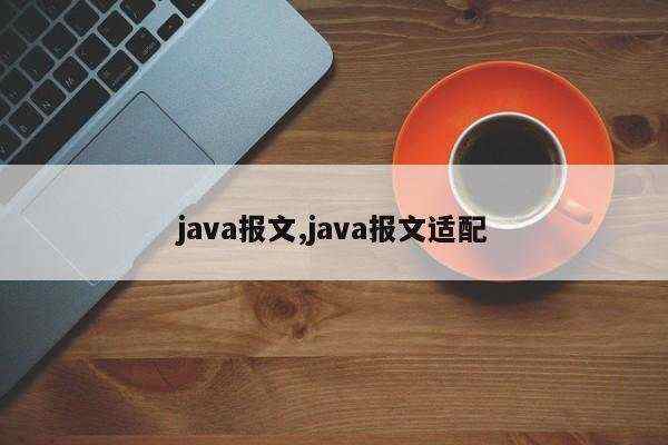 java报文,java报文适配