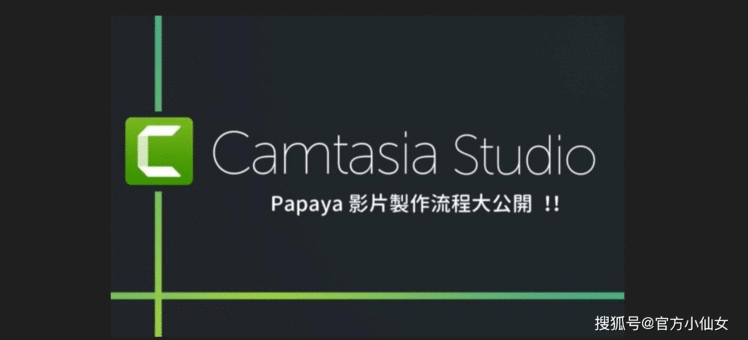 简单易用camstudio2023喀秋莎免费版电脑录屏软件