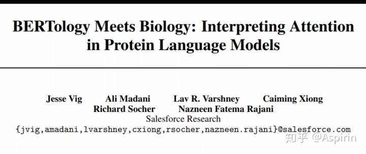 高阶注意力机制_BERTology遇上生物学：深入理解蛋白质语言模型中的注意力机制...