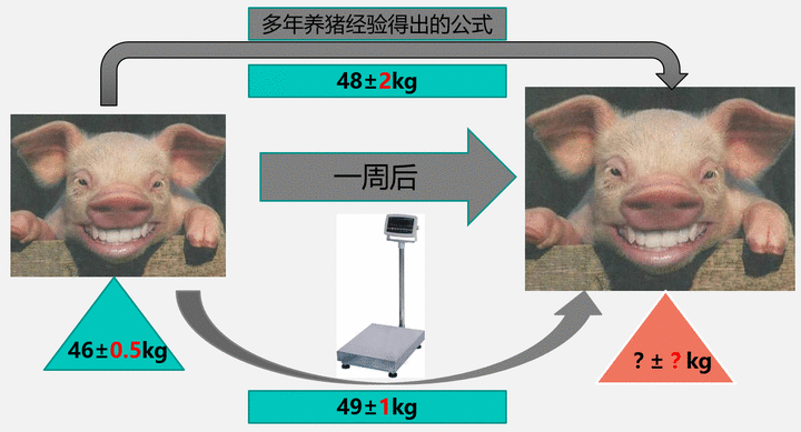 预测这头猪