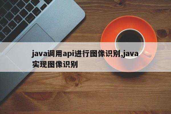 java调用api进行图像识别,java实现图像识别