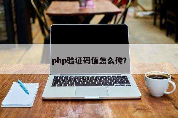 php验证码值怎么传？