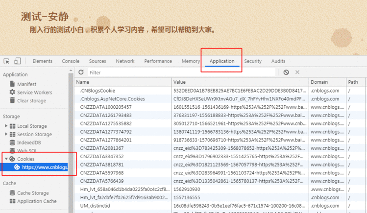 cookie验证 postman,postmanpostman通过Cookies登录博客园