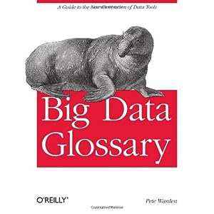 《Big Data Glossary》笔记