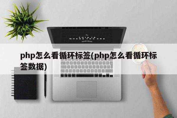 php怎么看循环标签(php怎么看循环标签数据)