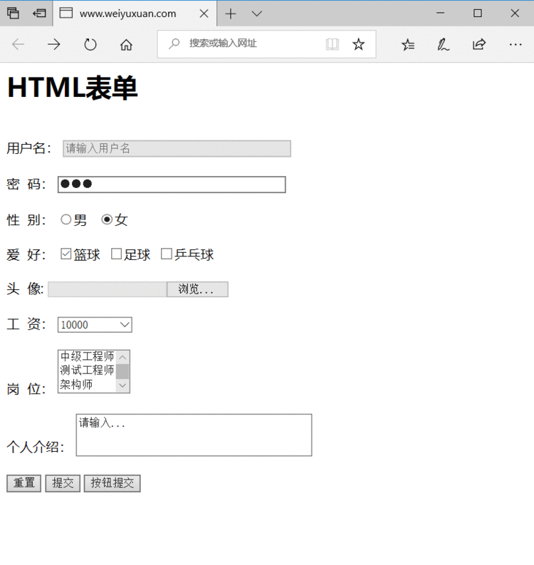 JavaWeb_HTML（19）_HTML 表单整合效果