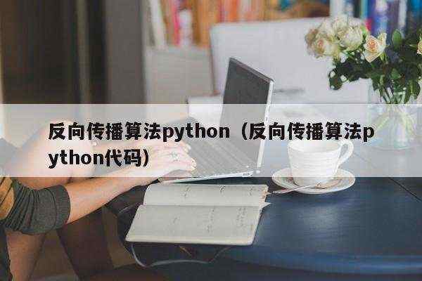 反向传播算法python（反向传播算法python代码）