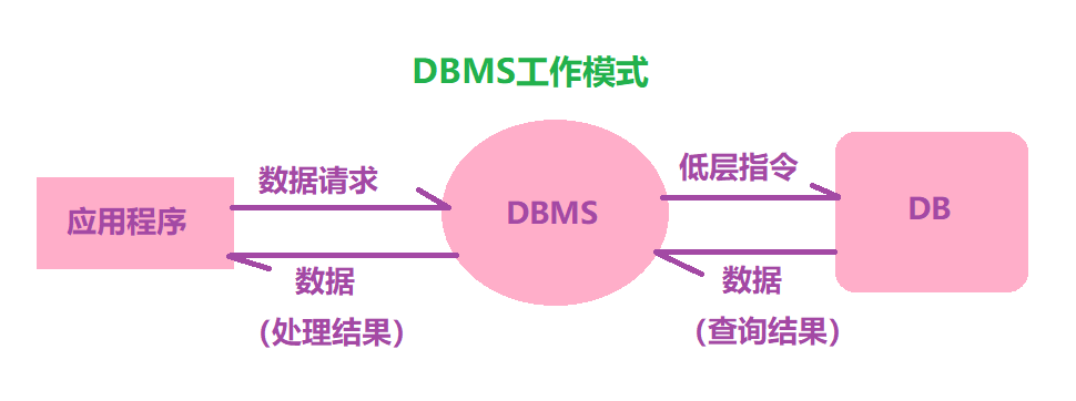 MySQL 数据库简介