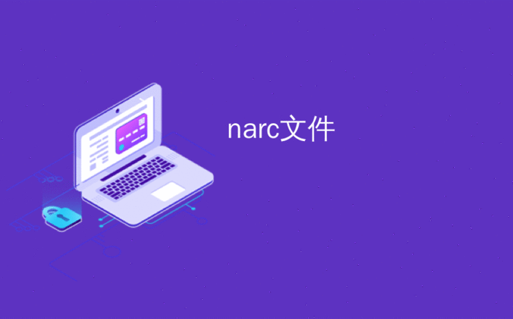 narc文件