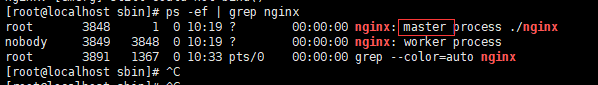 linux–安装nginx