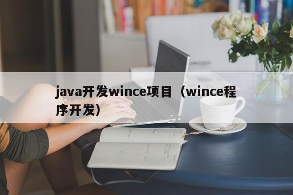 如何搭建Java开发环境并开发WinCE项目