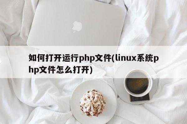 如何打开运行php文件(linux系统php文件怎么打开)