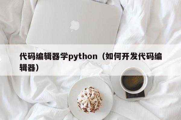 代码编辑器学python（如何开发代码编辑器）